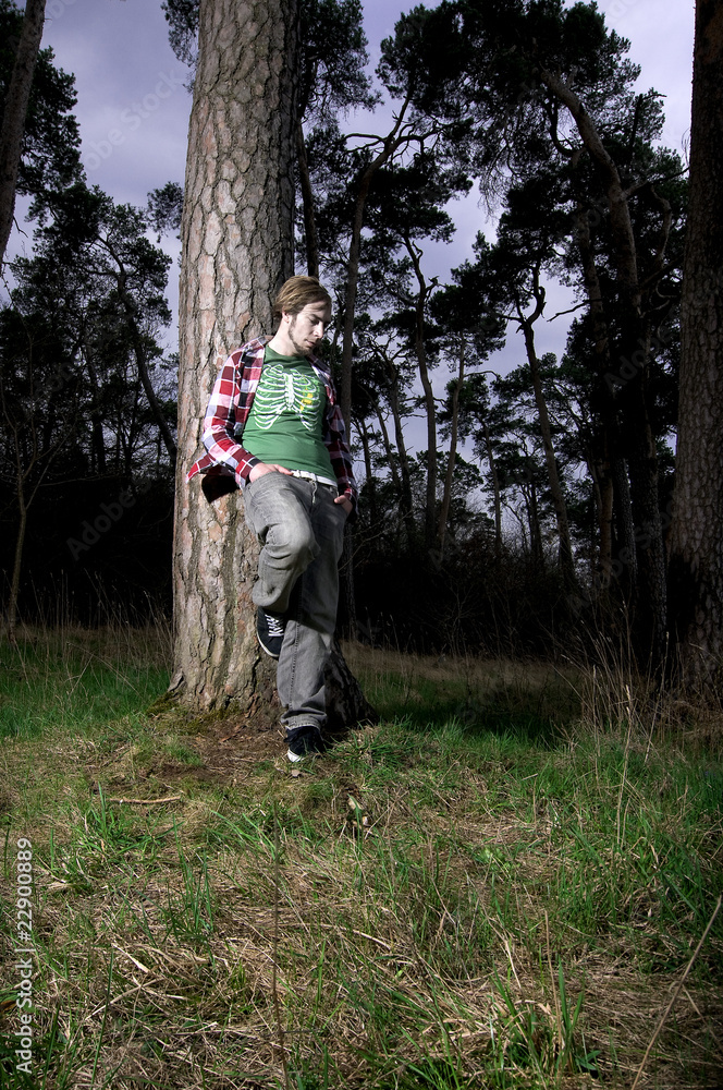 Fototapeta premium in the wood