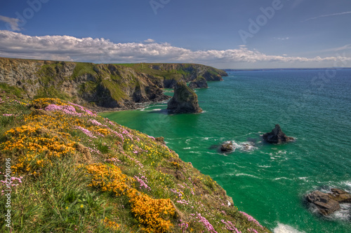 spring bedruthan steps
