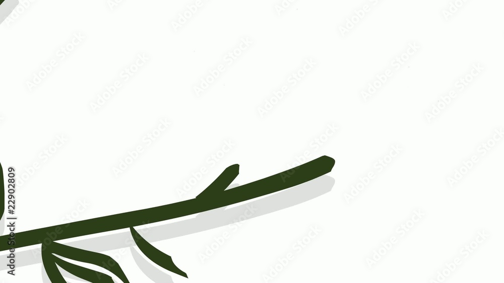 primavera che sboccia