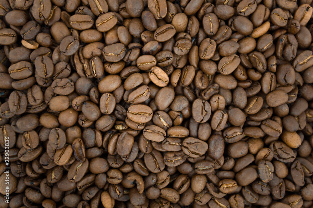Kaffee Bohnen Textur Kaffee Bohnen Textur