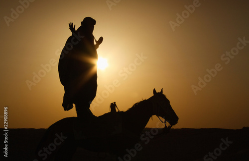 Rider in the Sahara desert © palmenpe