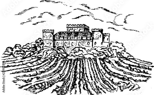 Old castle. Vineyard.