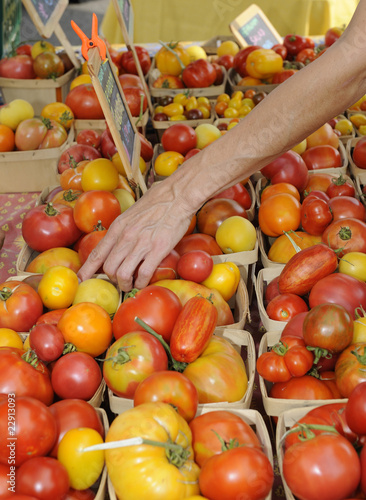 Tomatoes For Sale at a Farmers Market