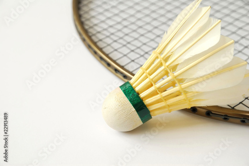 Shuttlecock on badminton racket © gnohz