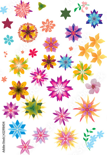 set of bright color flowers
