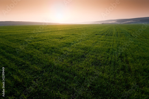 Green field with perfect grass