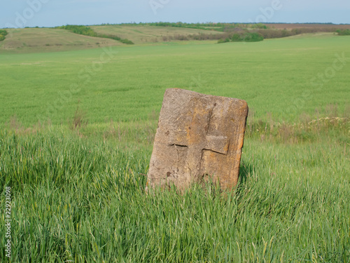 Photography Grave on field