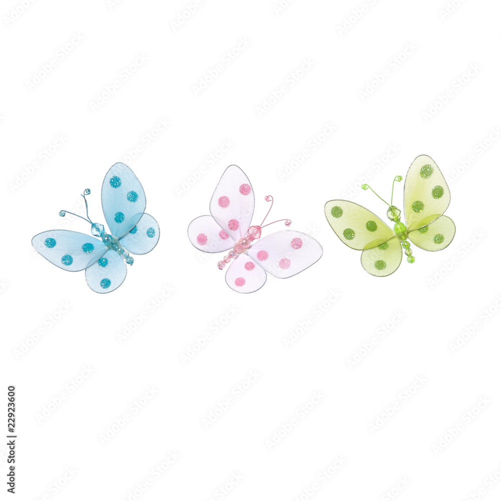 Schmetterling Schmetterling