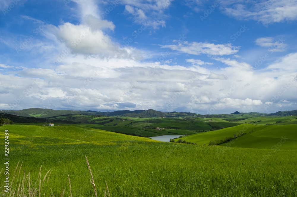 Fields Fields