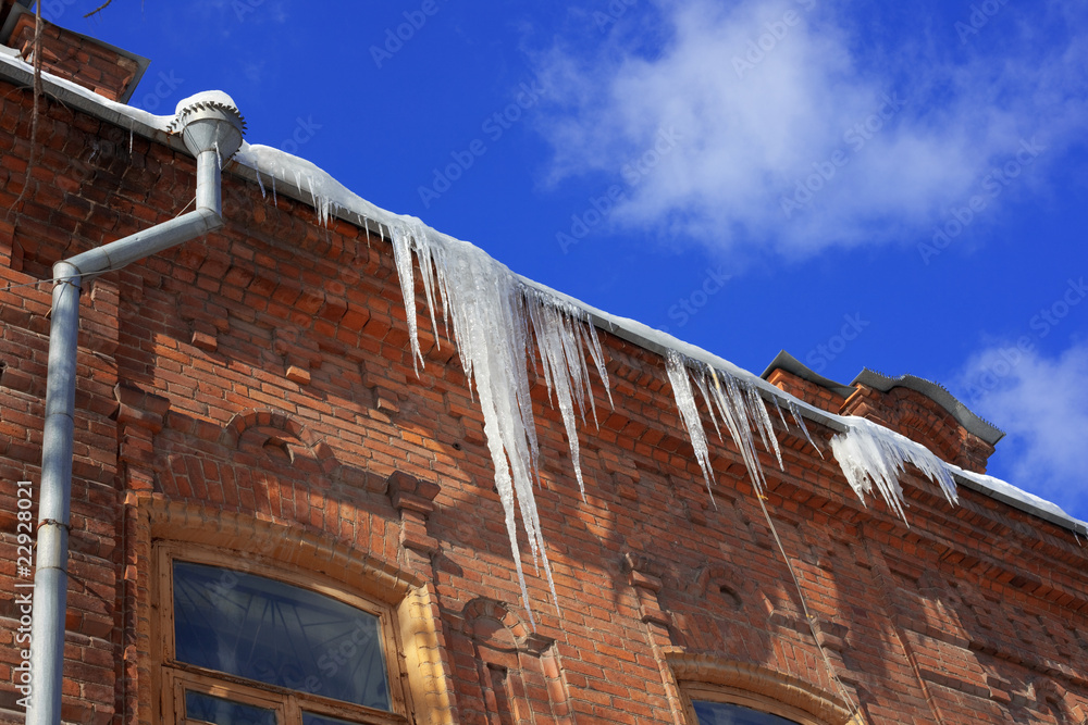 Fototapeta premium icicles