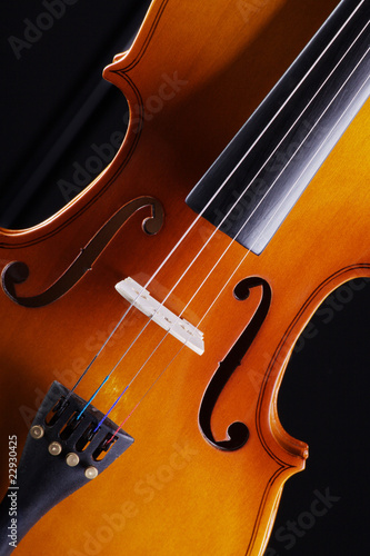 Geige, Violine close up