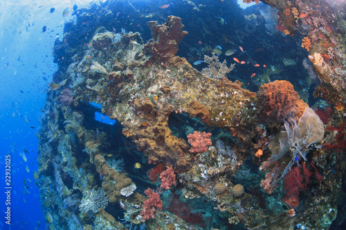 Fototapeta Naklejka Na Ścianę i Meble -  Liberty ship off the coast of Bali now an artifical coral reef