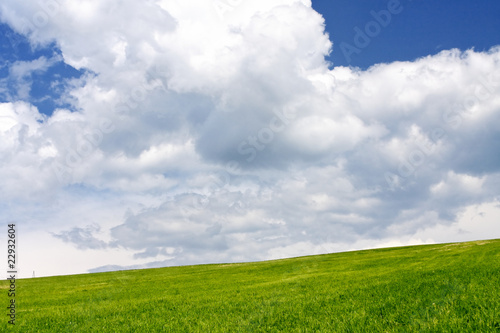 Green field and cloudy sky