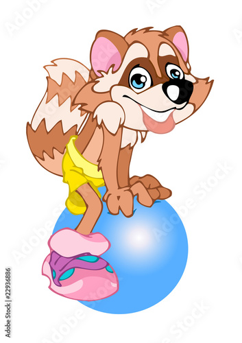 Raccoon the animation