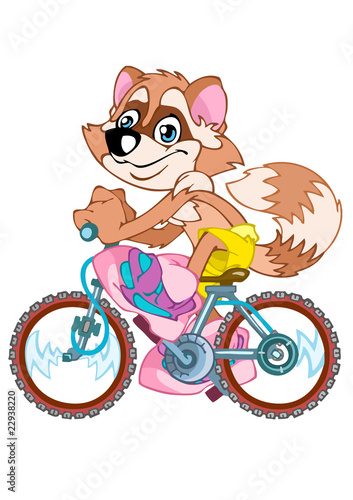 Raccoon the animation