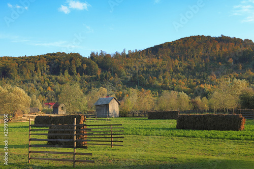 Landscape in Bucovina,Romania