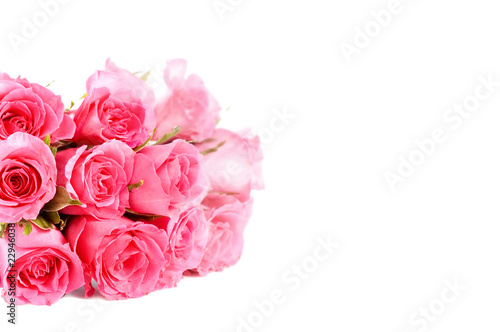 Pink roses bouquet