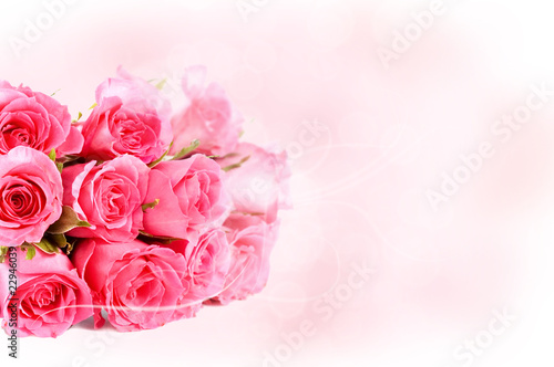 Pink roses bouquet