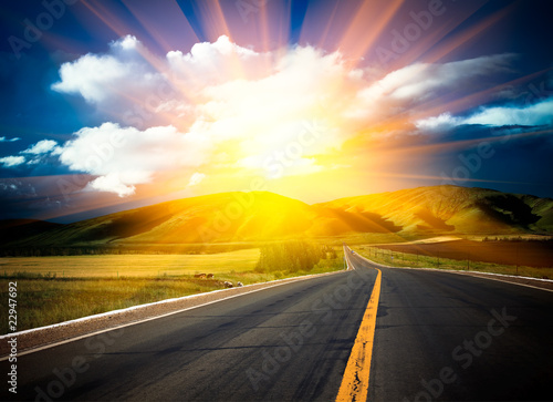 sunlight above the road.