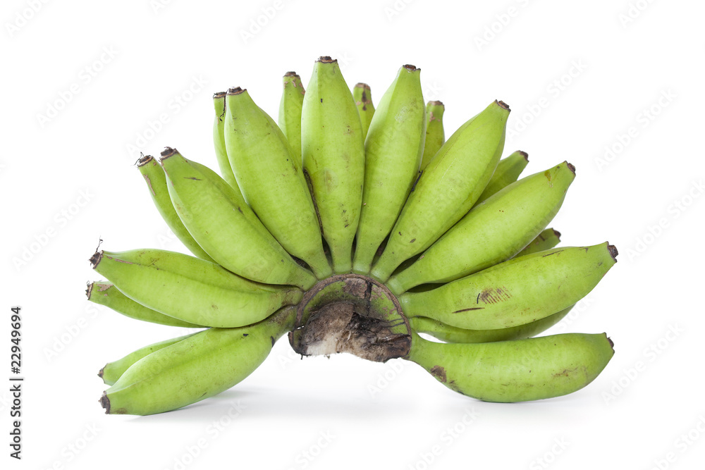 Bunch of green baby bananas