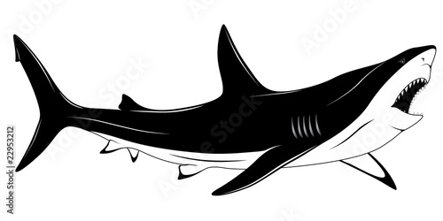 Shark, tattoo
