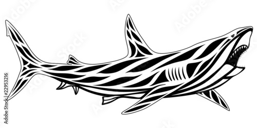 Shark, tattoo