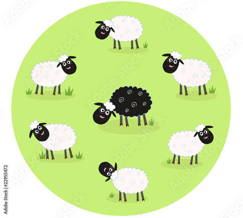 One black sheep is lonely in the middle of white sheep family