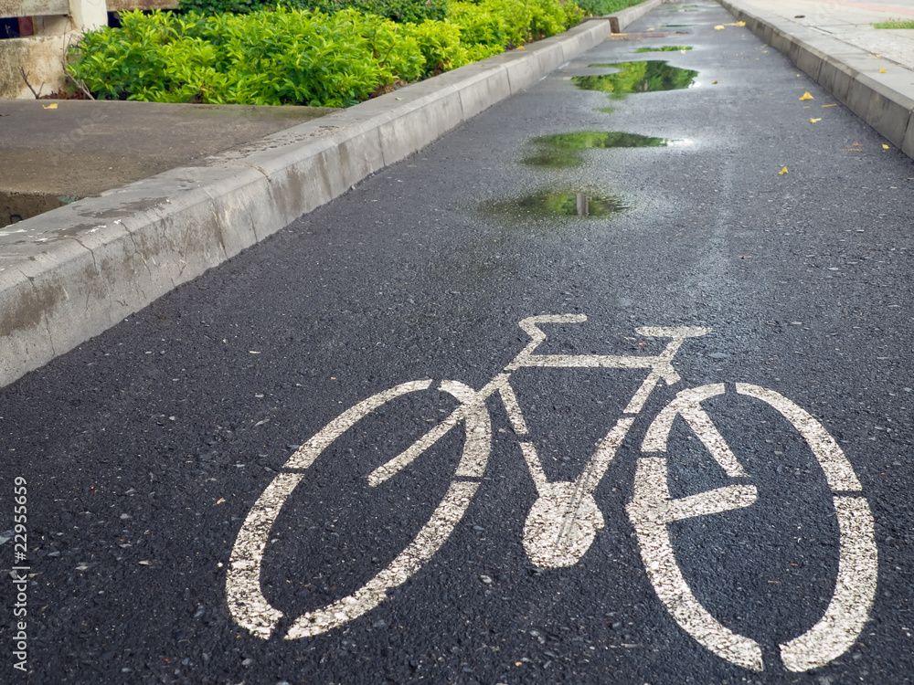 Obraz premium Bicycle lane