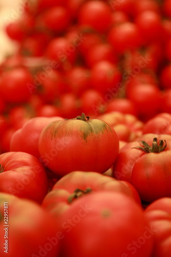 Pomidory, warzywa, fotografia, czerwone, naturalne na przecier pomidorowy