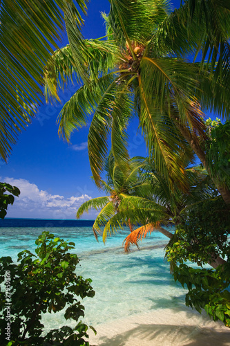 Tropical Paradise at Maldives