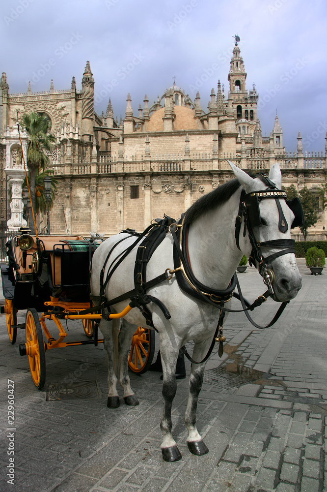 sevilla Cathedral gothic with typical horse cab sevilla Cathedral gothic with typical horse cab