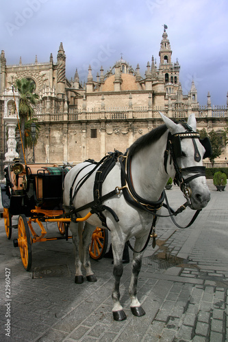 sevilla Cathedral gothic with typical horse cab © Bigabiga