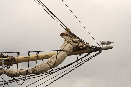 Bowsprit with two seagulls