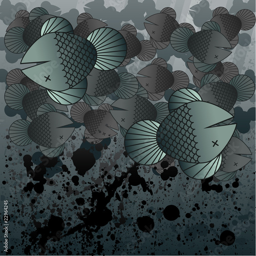 Dead fish oil spill