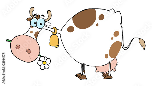 White And Brown Cow Eating A Daisy