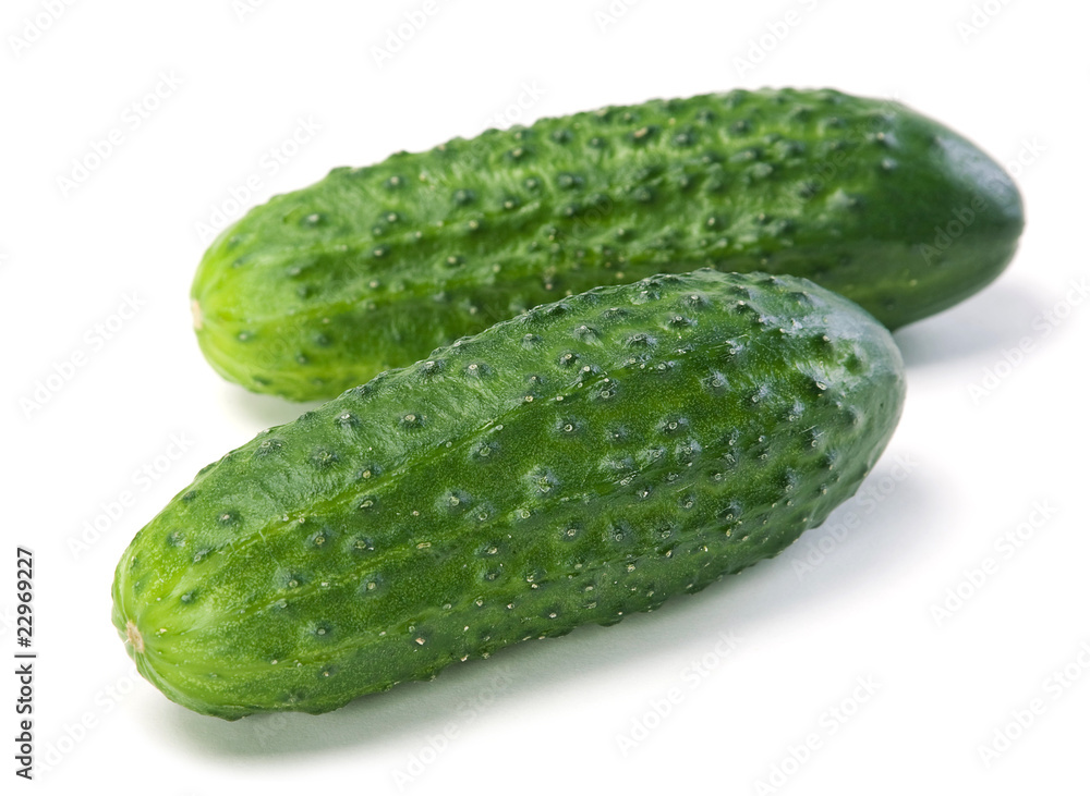 Cucumber vegetable Cucumber vegetable