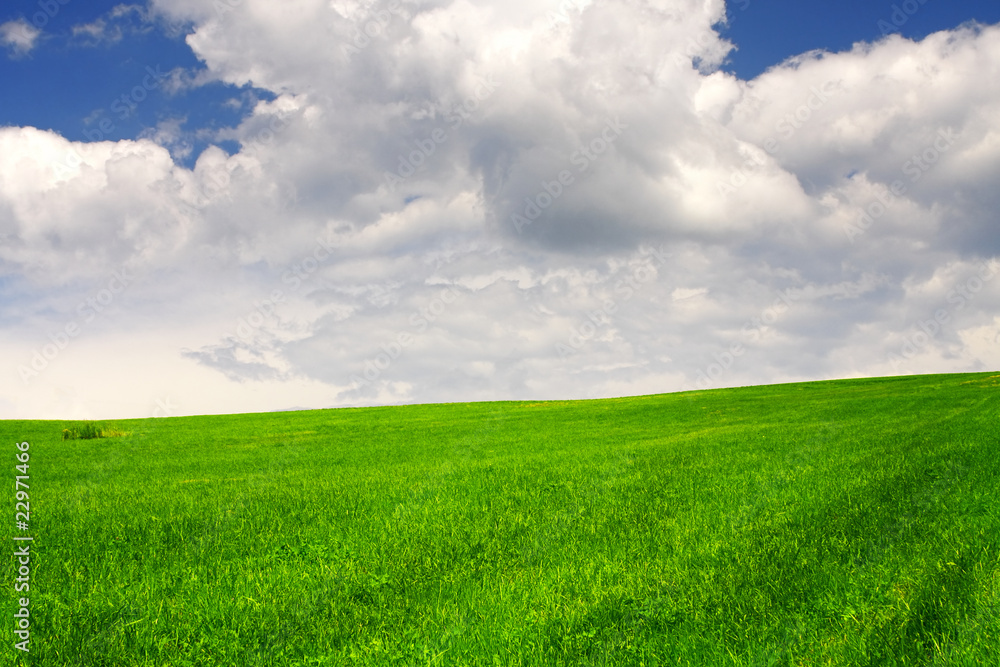 Green field and sky blue with white cloud Green field and sky blue with white cloud