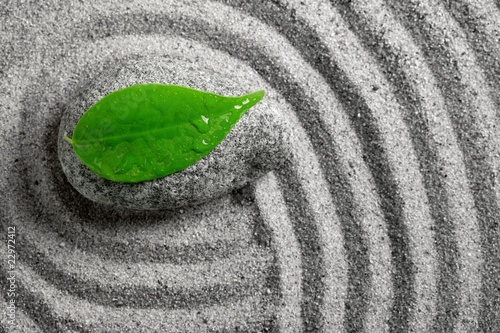 Photography zen stone with leaf