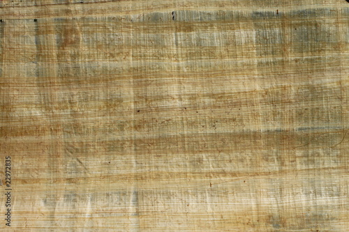 Papyrus