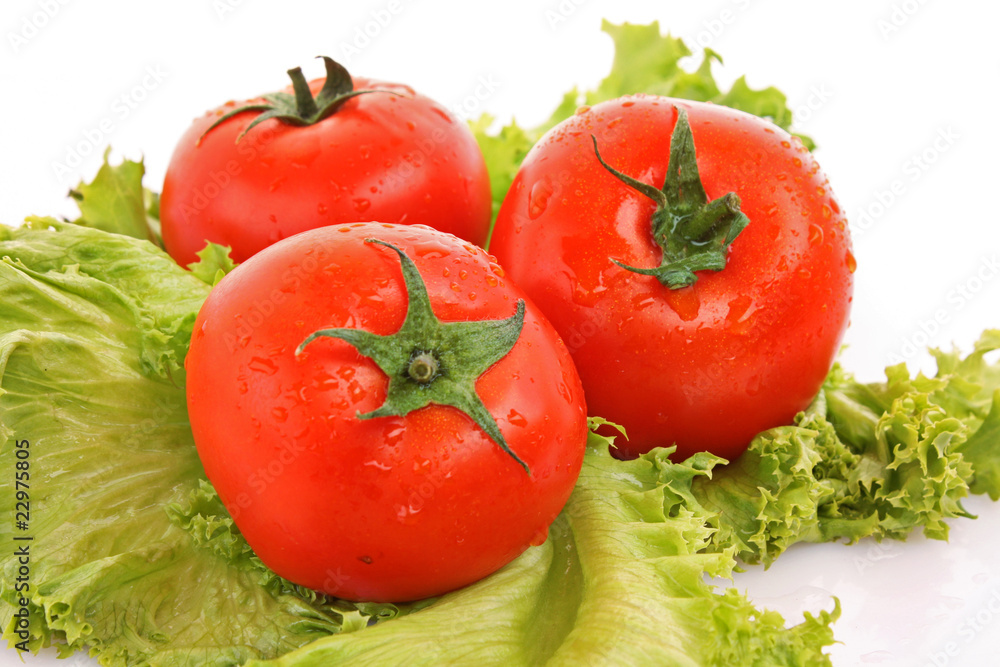red tomato vegetables on the green salad background red tomato vegetables on the green salad background