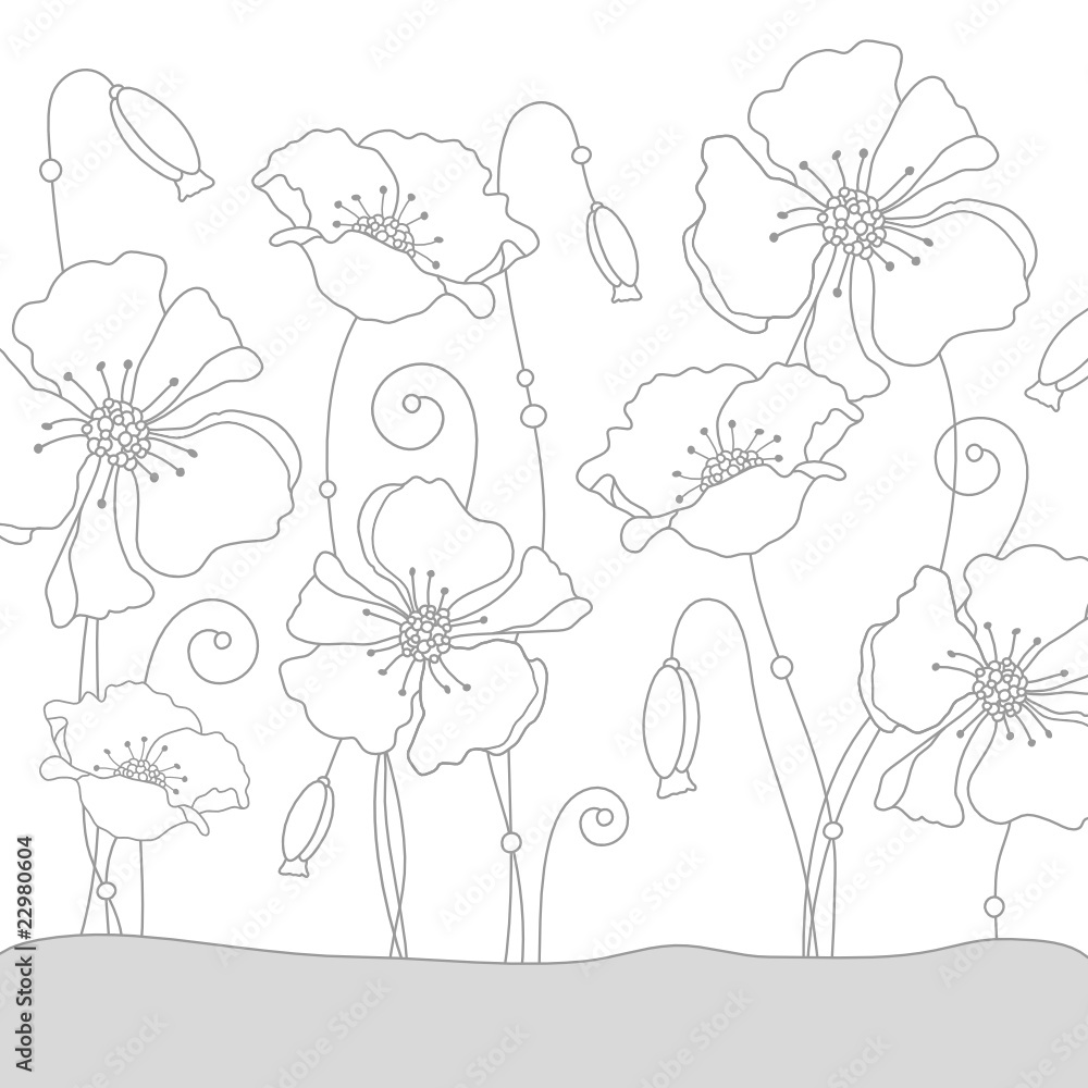 White Poppies White Poppies