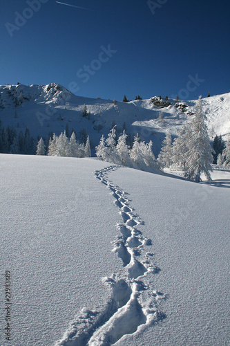 Spuren im Schnee