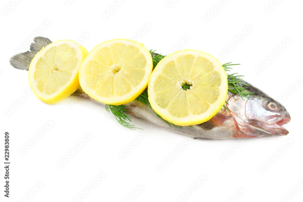 Raw fish with lemon and dill isolated on white background Raw fish with lemon and dill isolated on white background