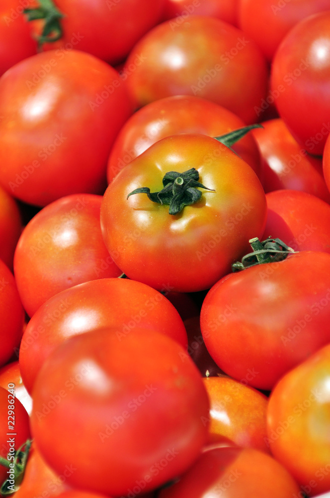 Tomaten