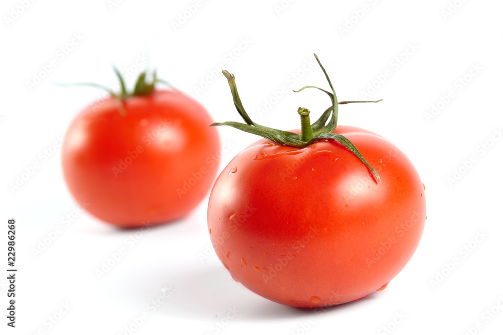 fresh tomatoes fresh tomatoes