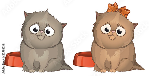 Cute kitten