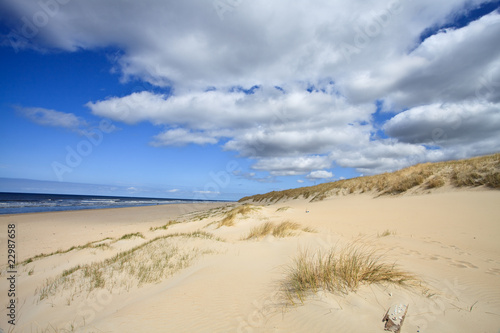 Sand dunes near to the sea
