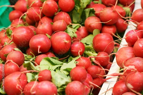 Fresh radishes for optimal diet