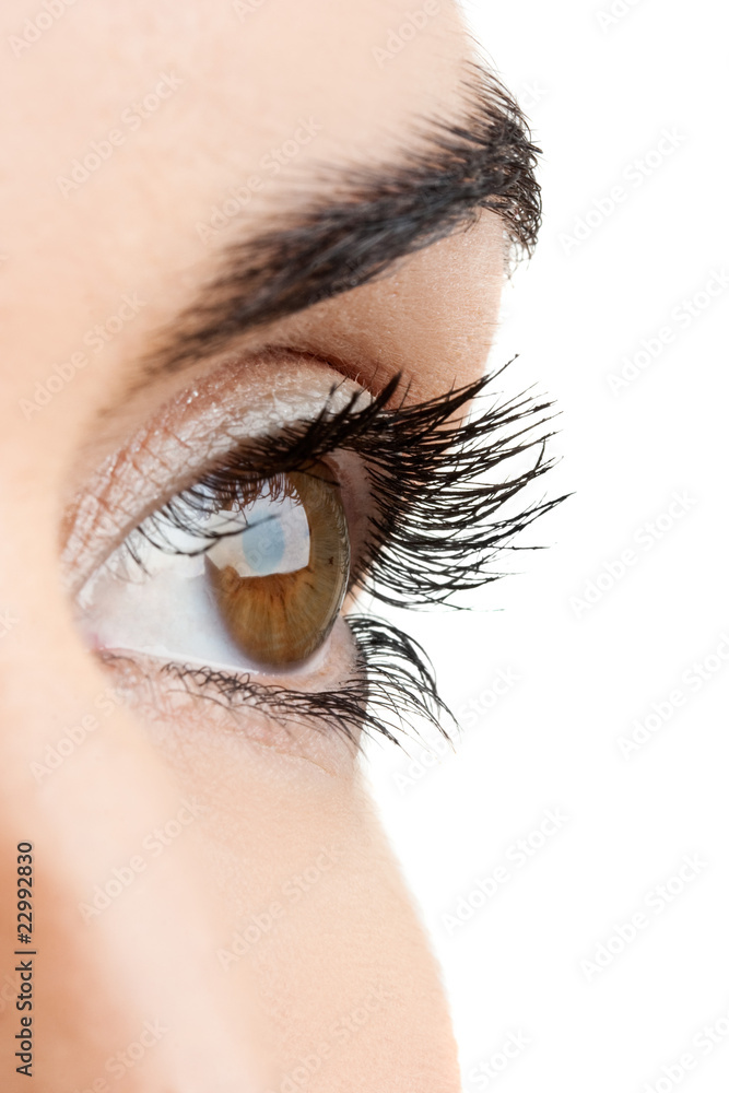 Naklejka premium Female eye