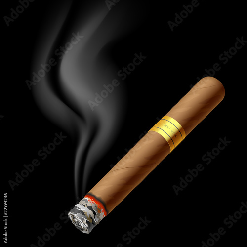 Smoldering cigar. Vector.